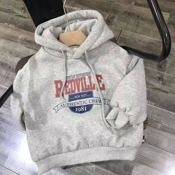 Байка утепленная с капюшоном серая